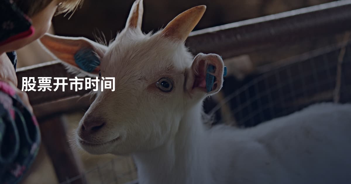股票开市时间