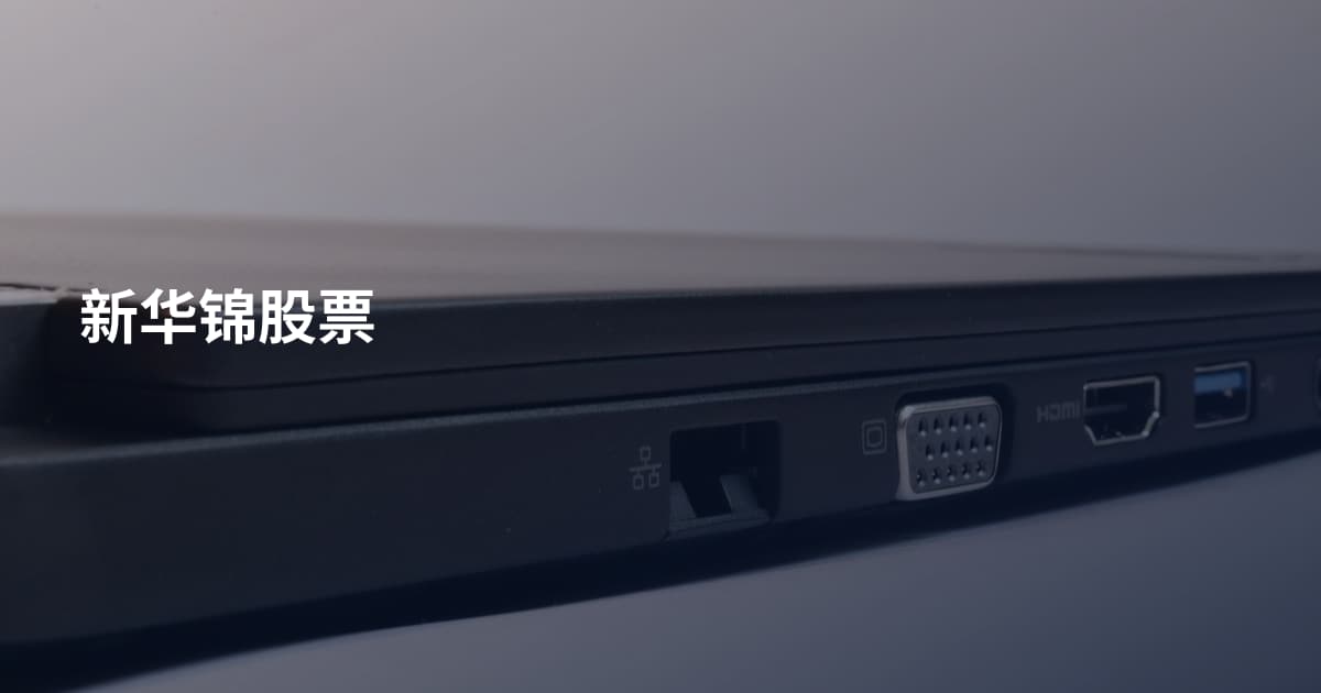 新华锦股票