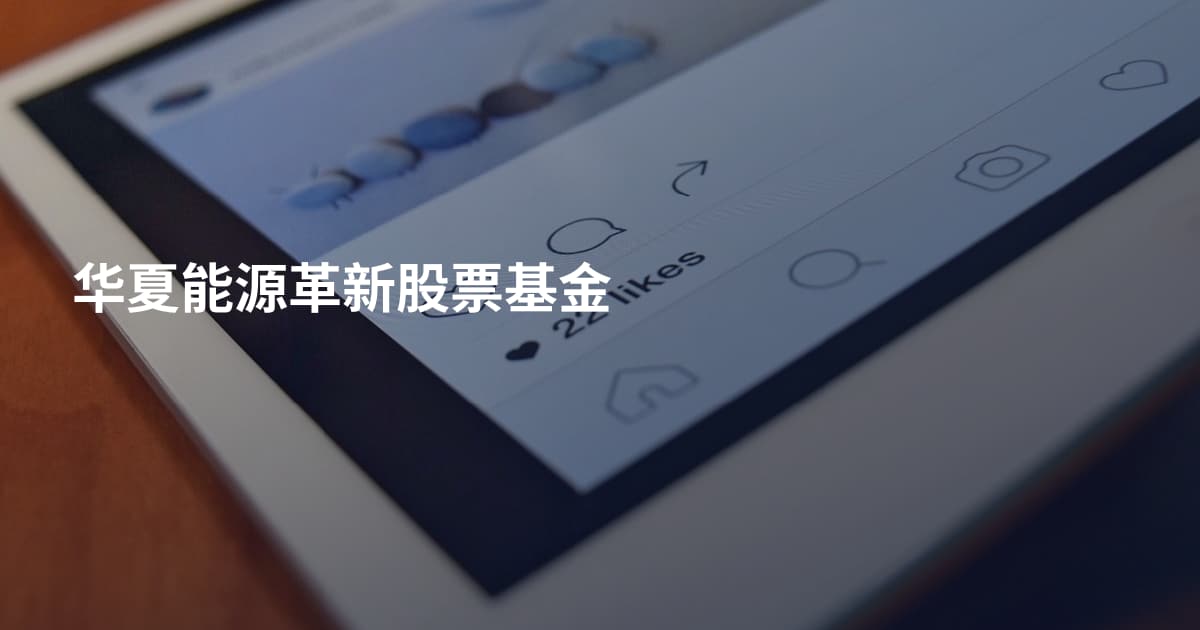 华夏能源革新股票基金
