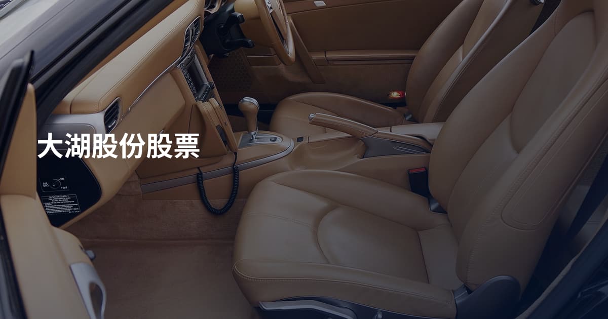 大湖股份股票