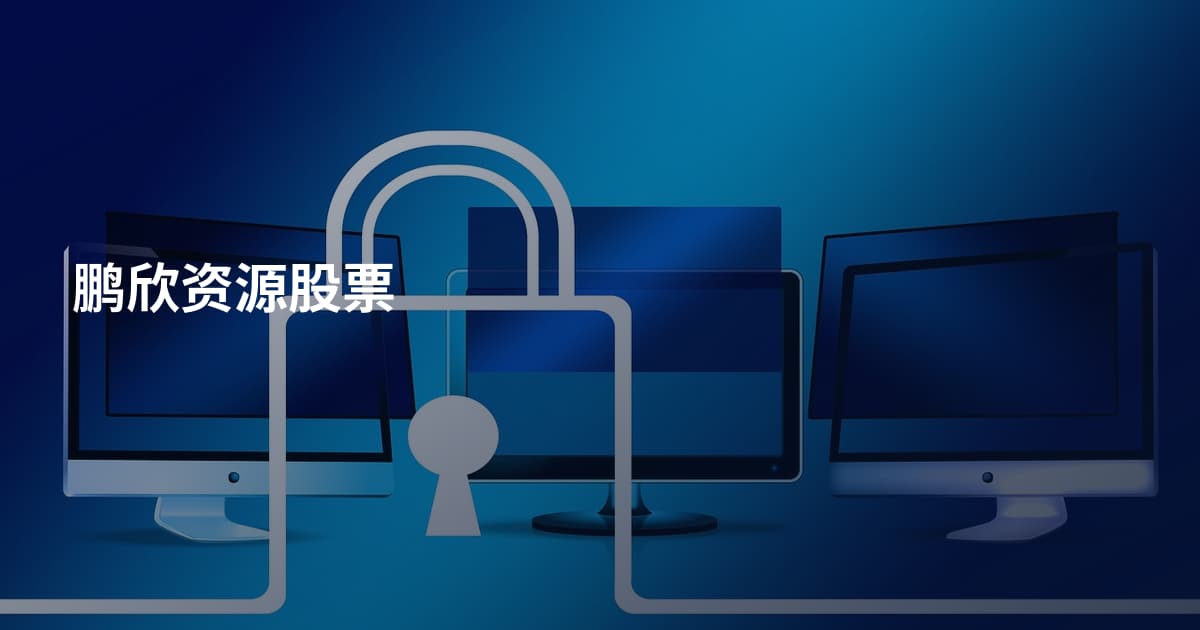 鹏欣资源股票