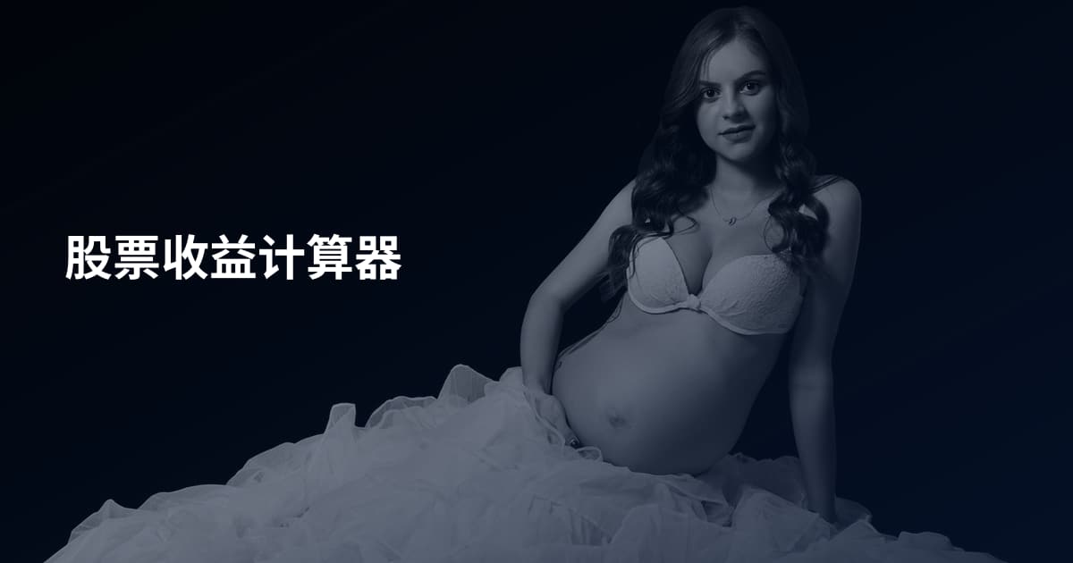 股票收益计算器