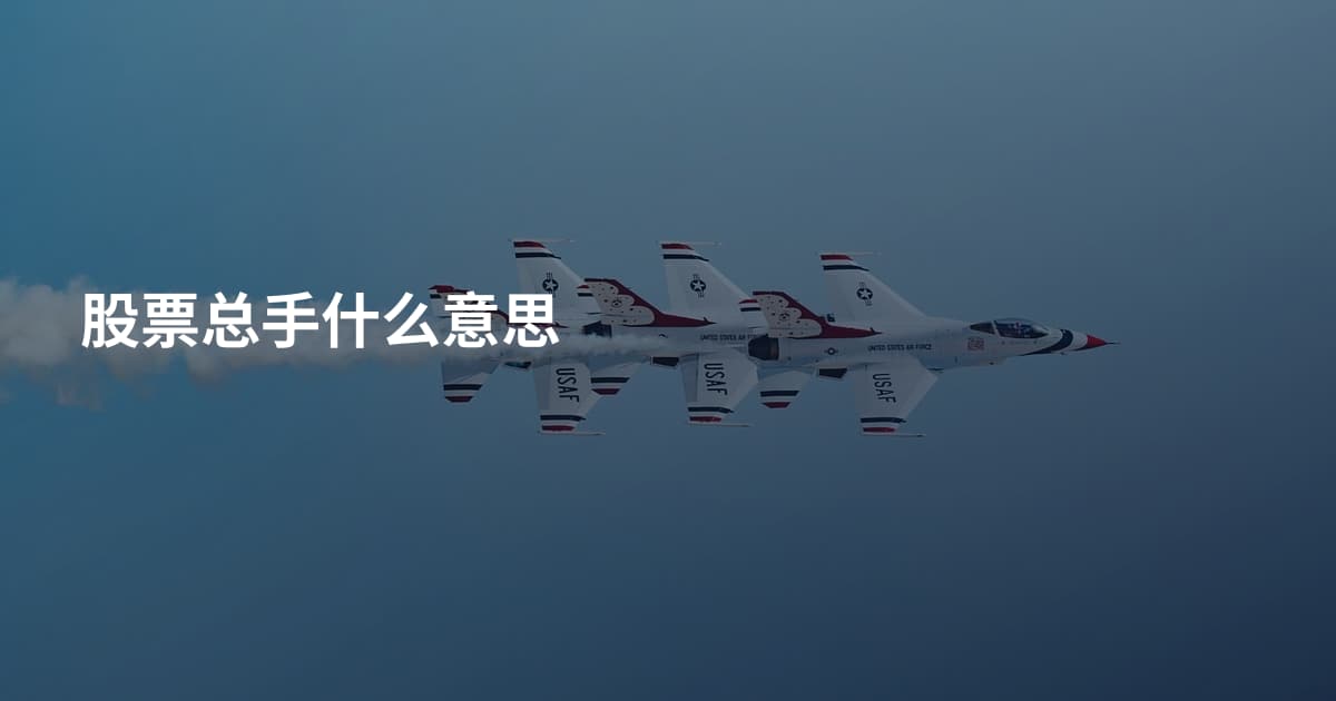 股票总手什么意思