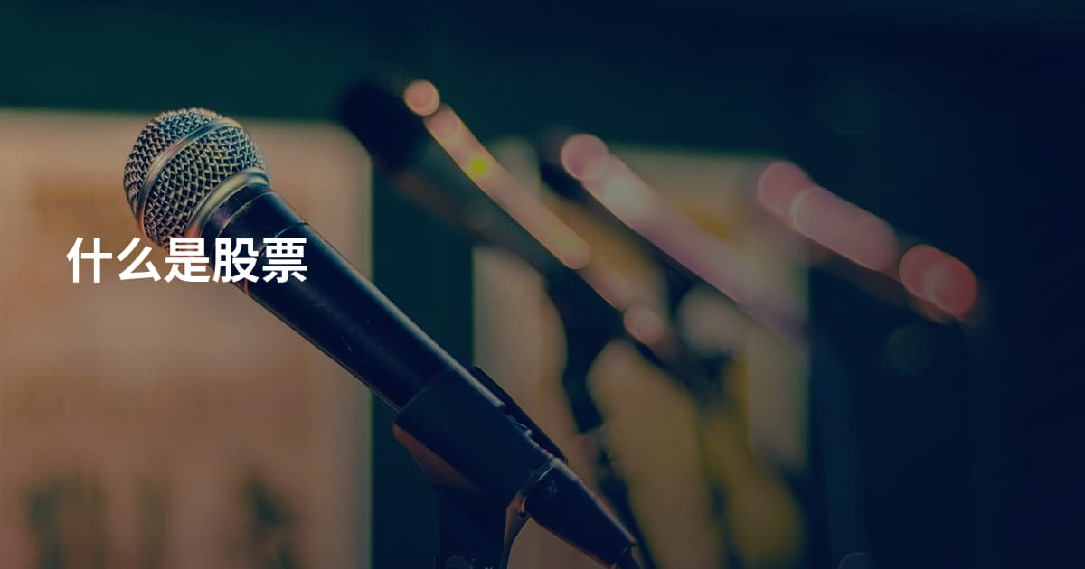 什么是股票