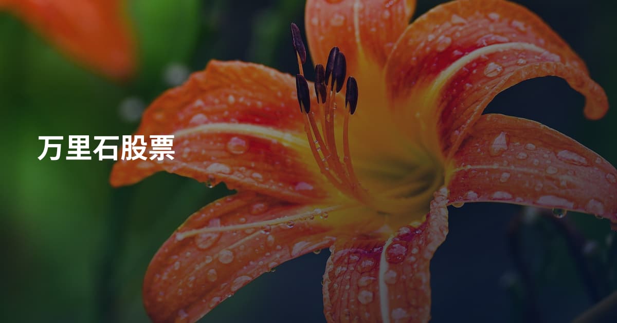 万里石股票