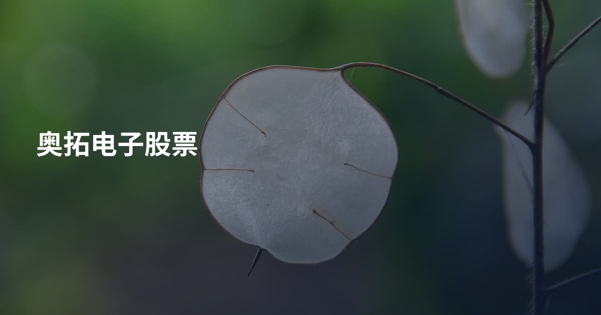 奥拓电子股票