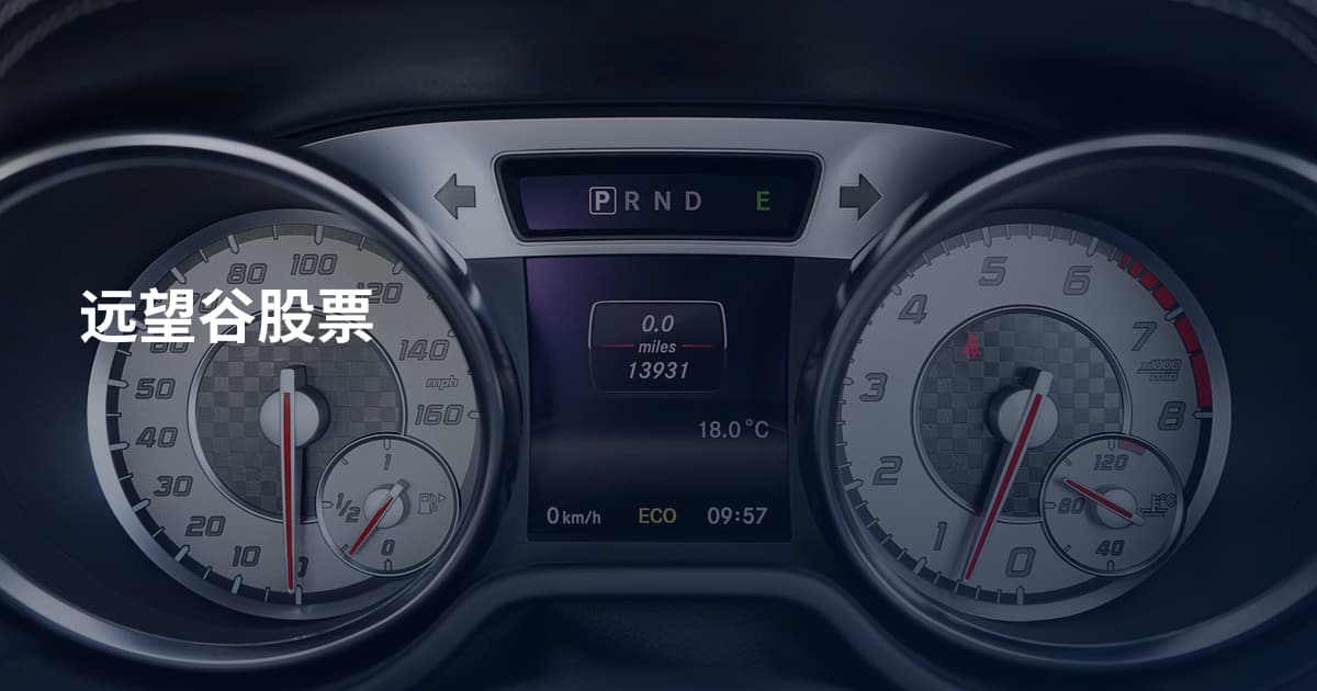 远望谷股票