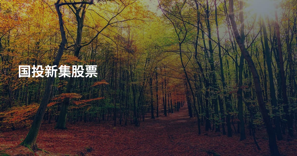国投新集股票