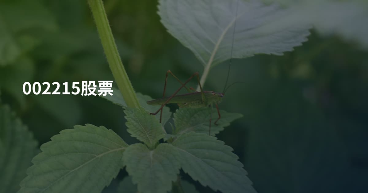 002215股票