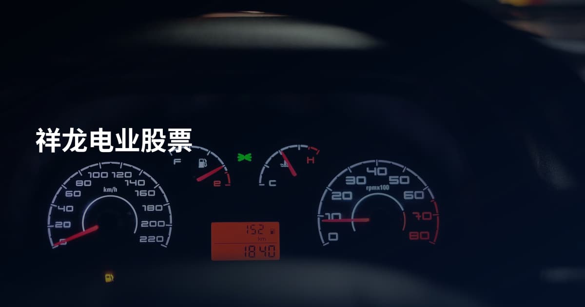 祥龙电业股票
