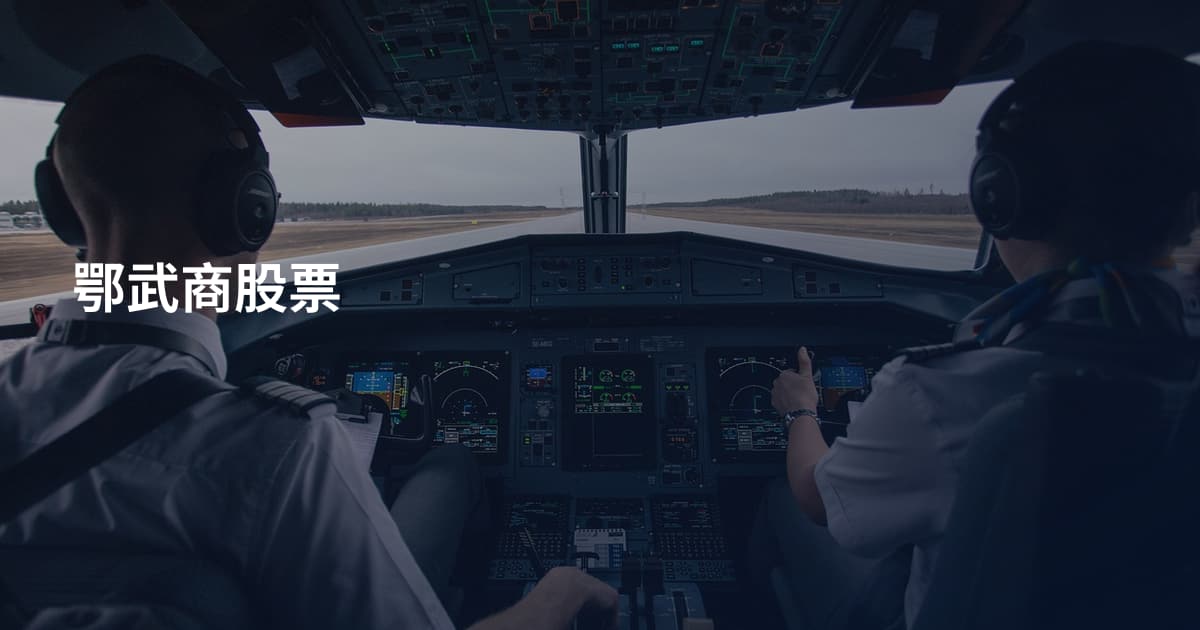 鄂武商股票