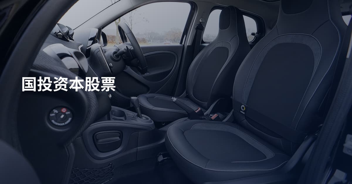 国投资本股票