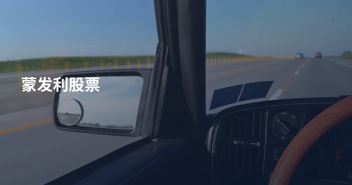 蒙发利股票