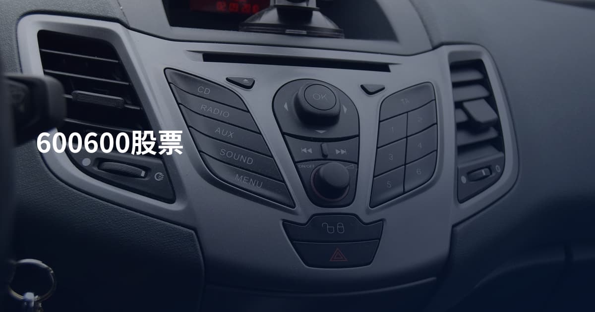 600600股票