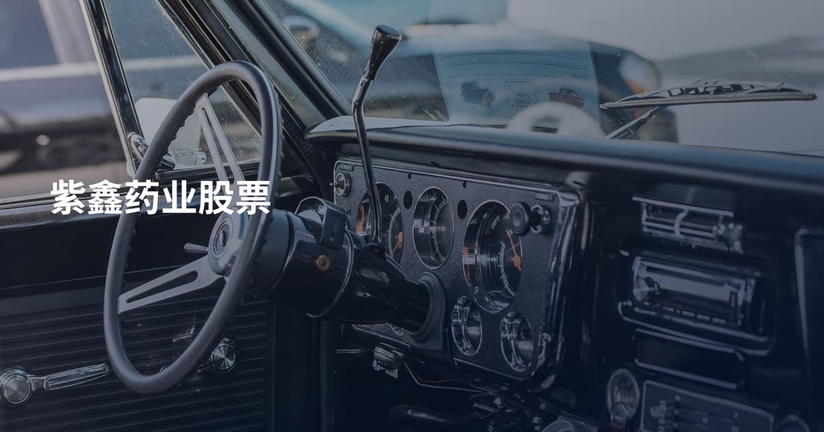 紫鑫药业股票