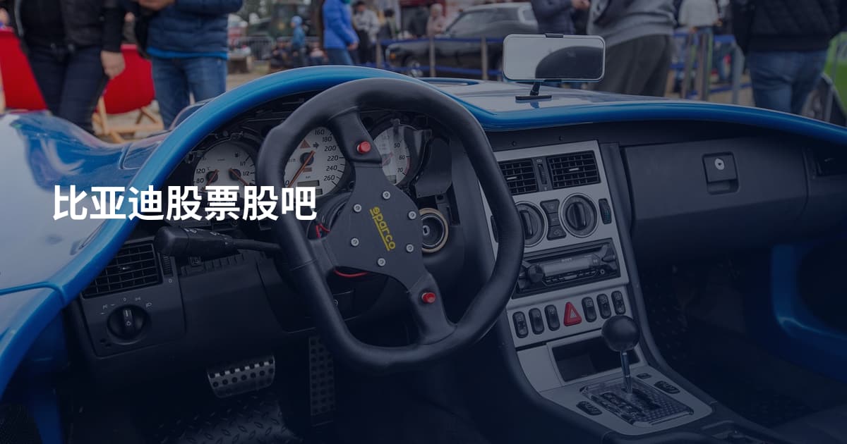 比亚迪股票股吧