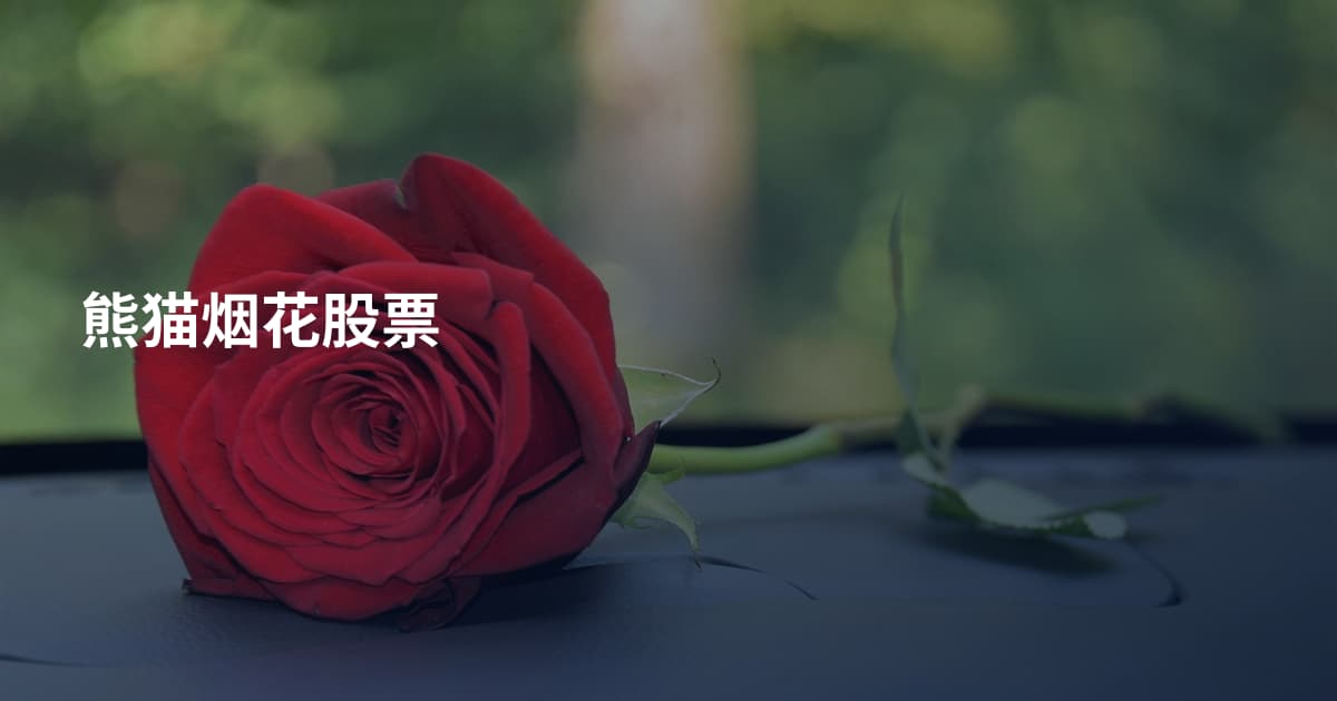 熊猫烟花股票