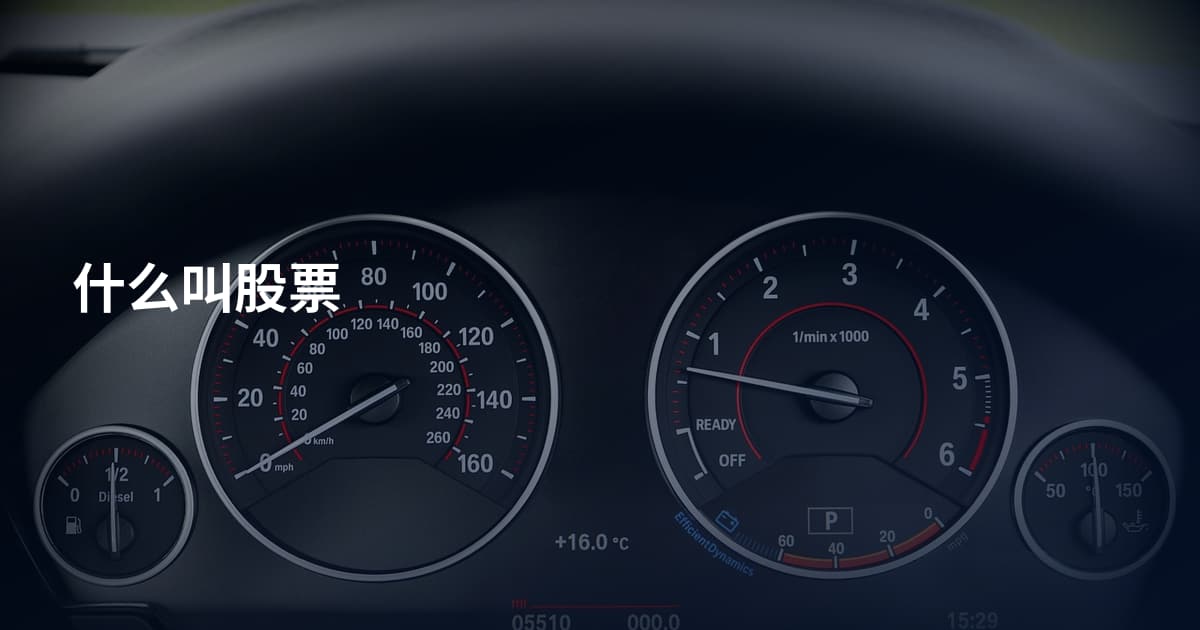 什么叫股票