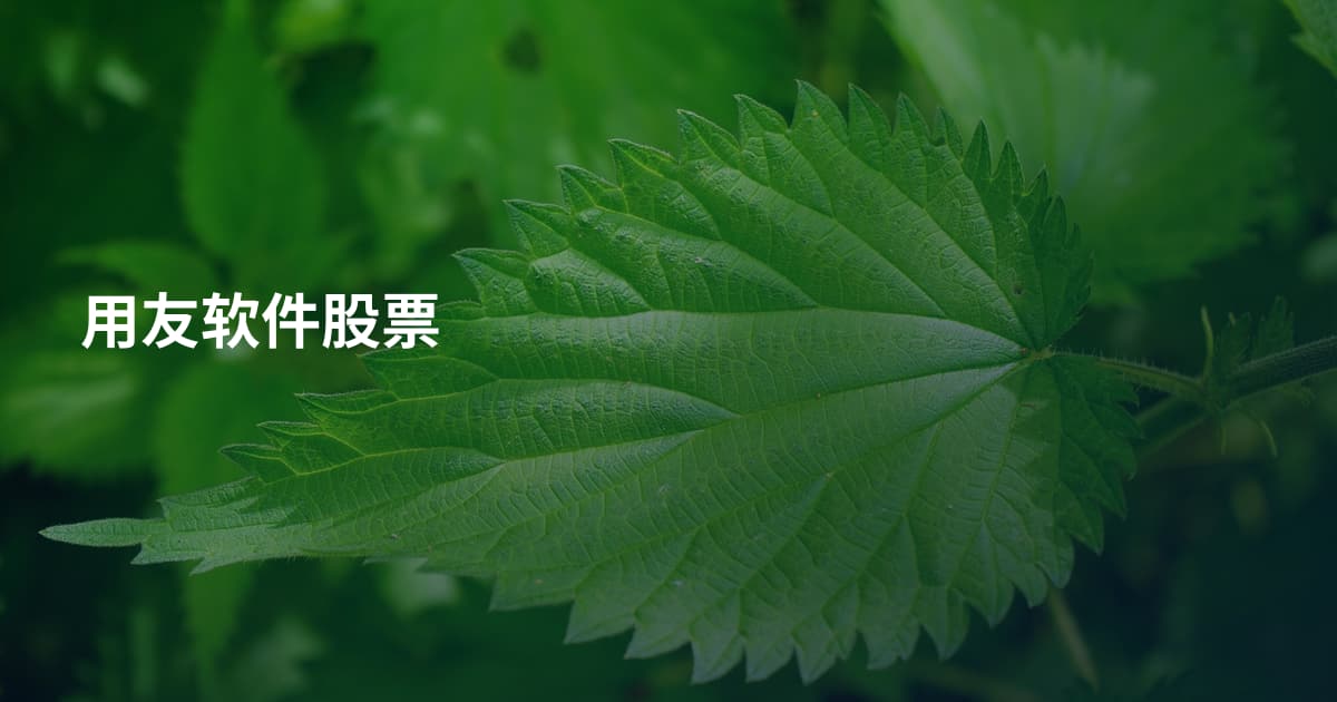 用友软件股票