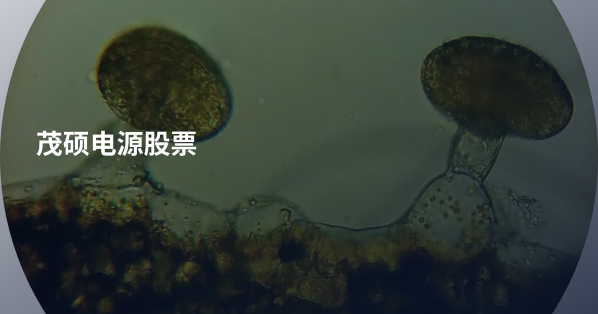 茂硕电源股票