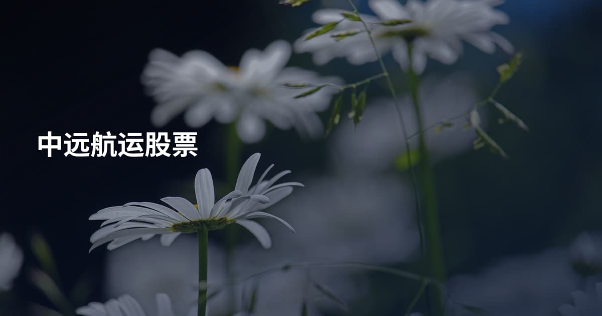 中远航运股票
