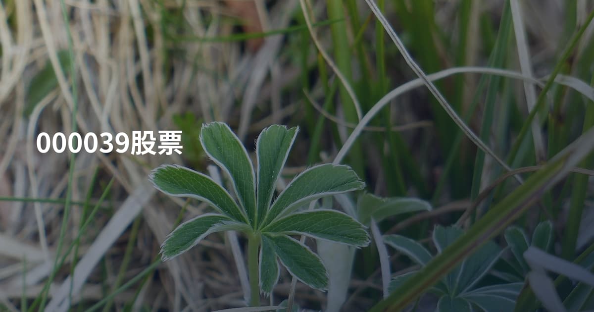 000039股票