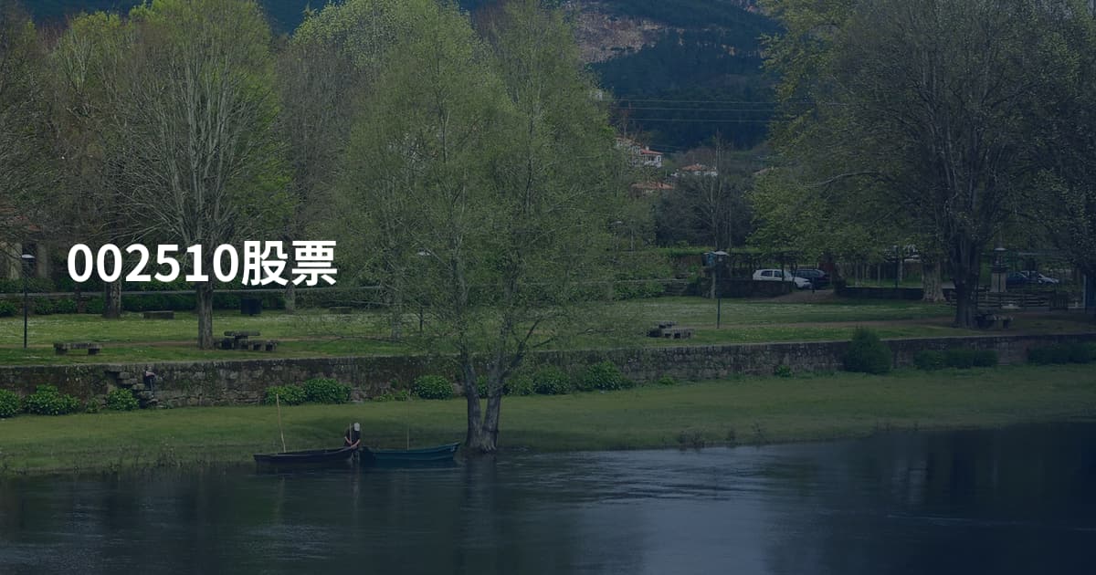 002510股票