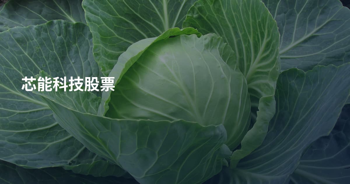 芯能科技股票