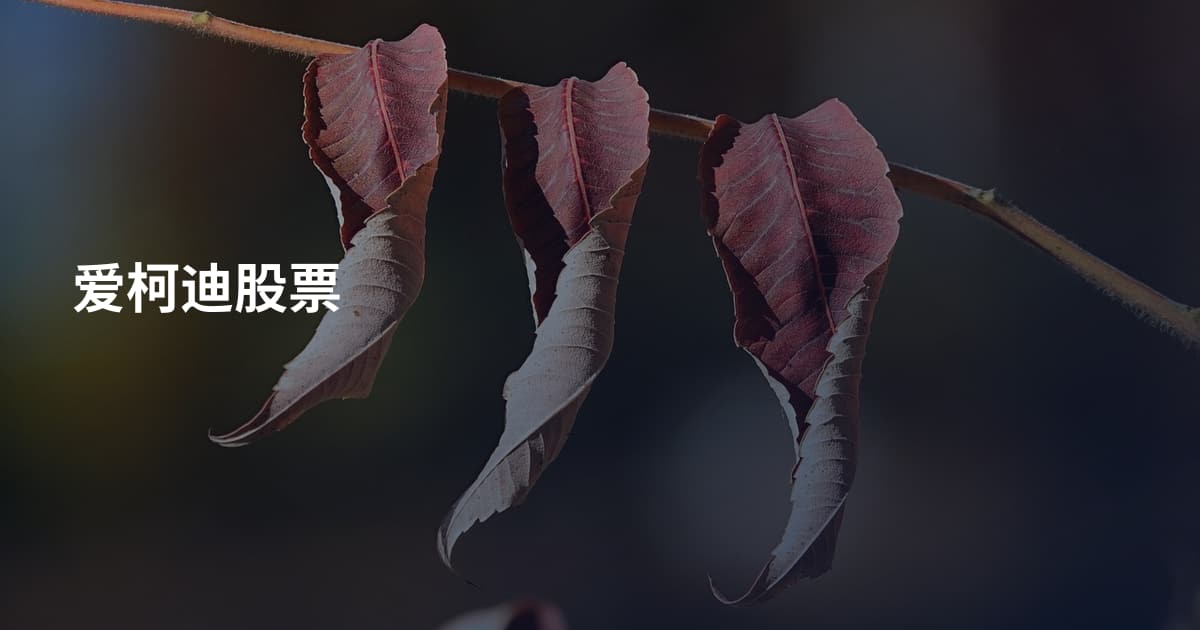 爱柯迪股票
