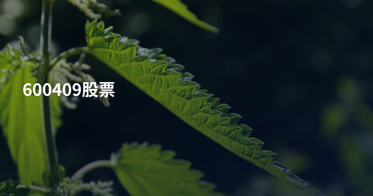 600409股票