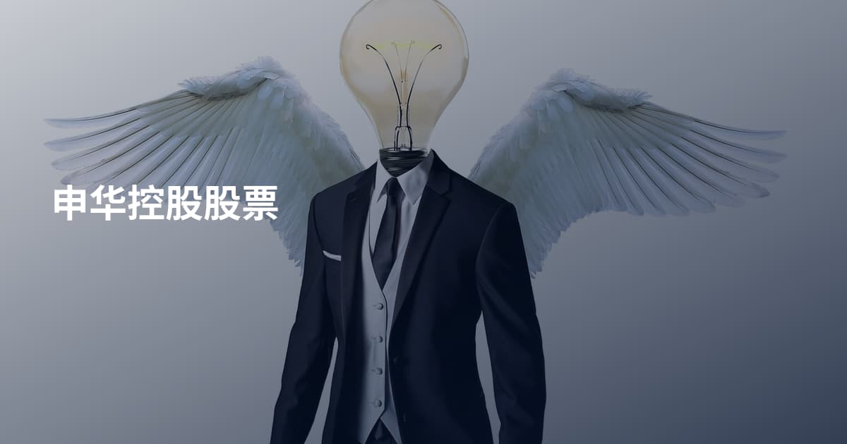 申华控股股票