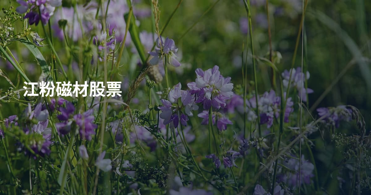 江粉磁材股票