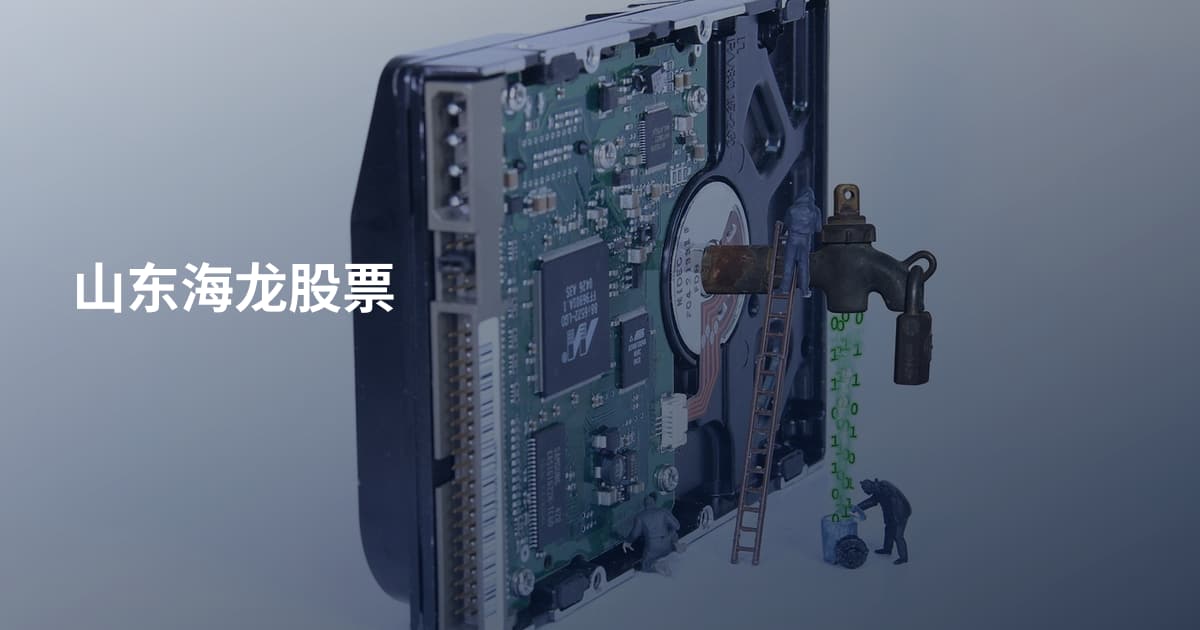山东海龙股票