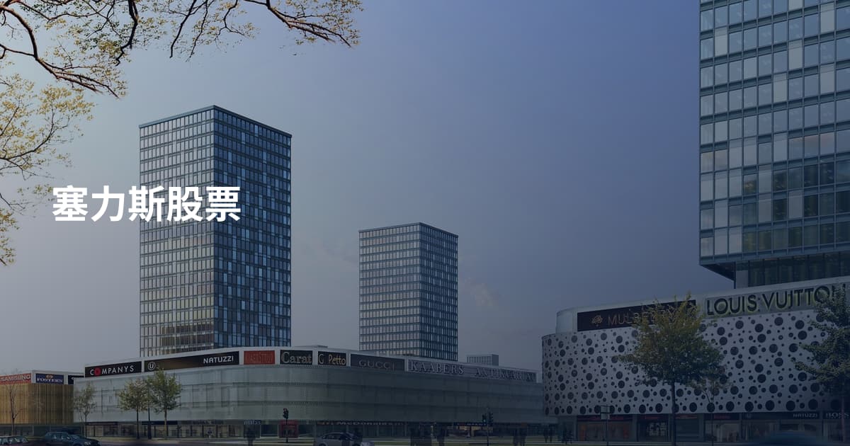 塞力斯股票