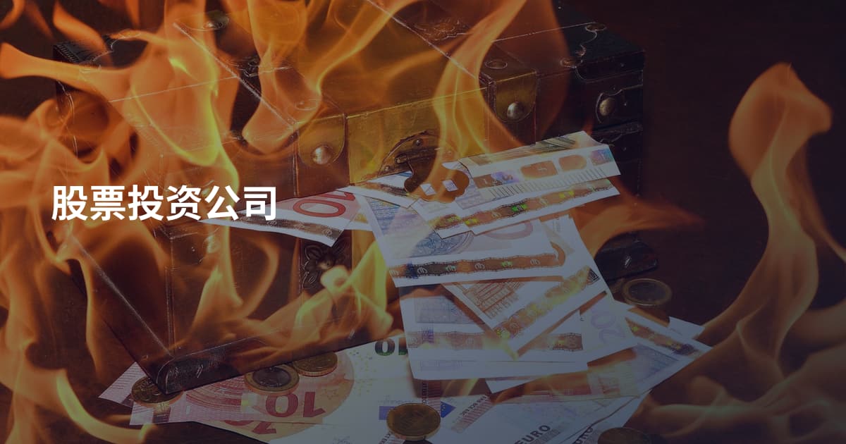 股票投资公司