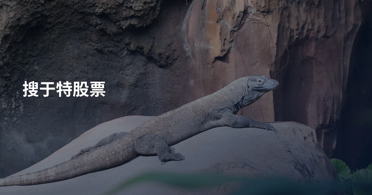 搜于特股票