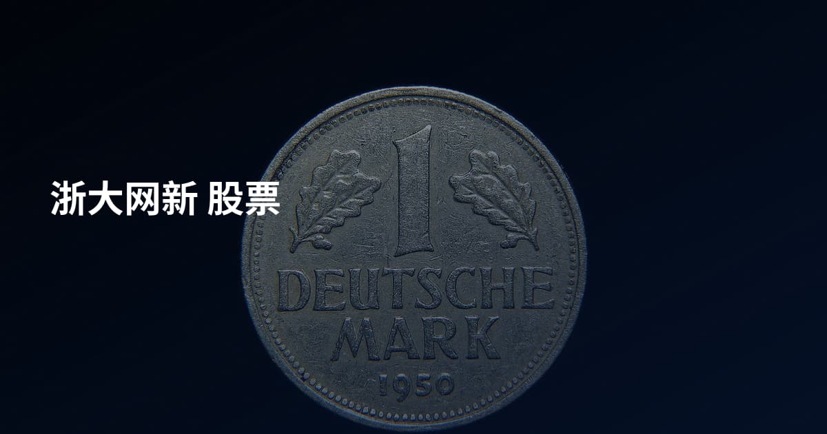 浙大网新 股票
