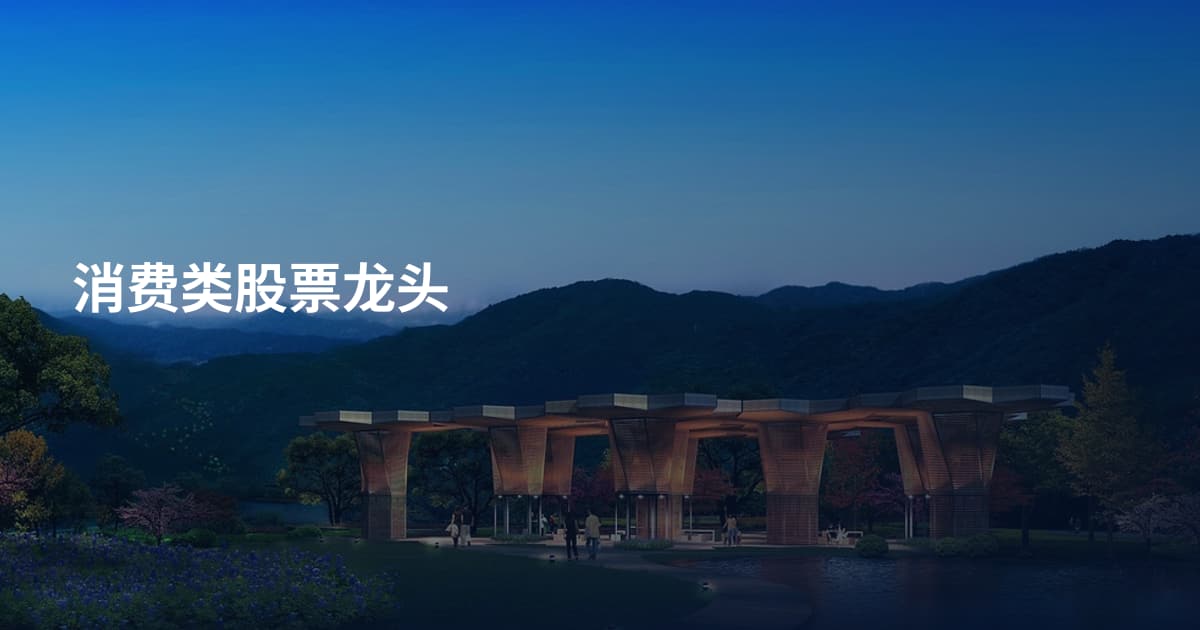 消费类股票龙头