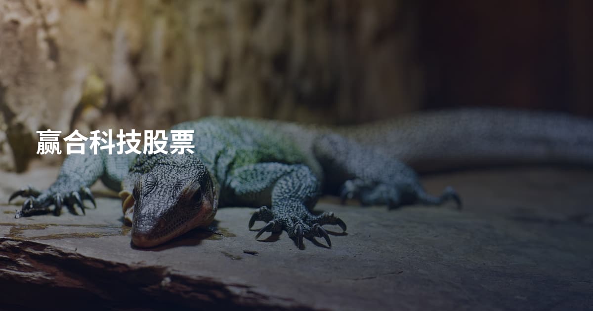 赢合科技股票
