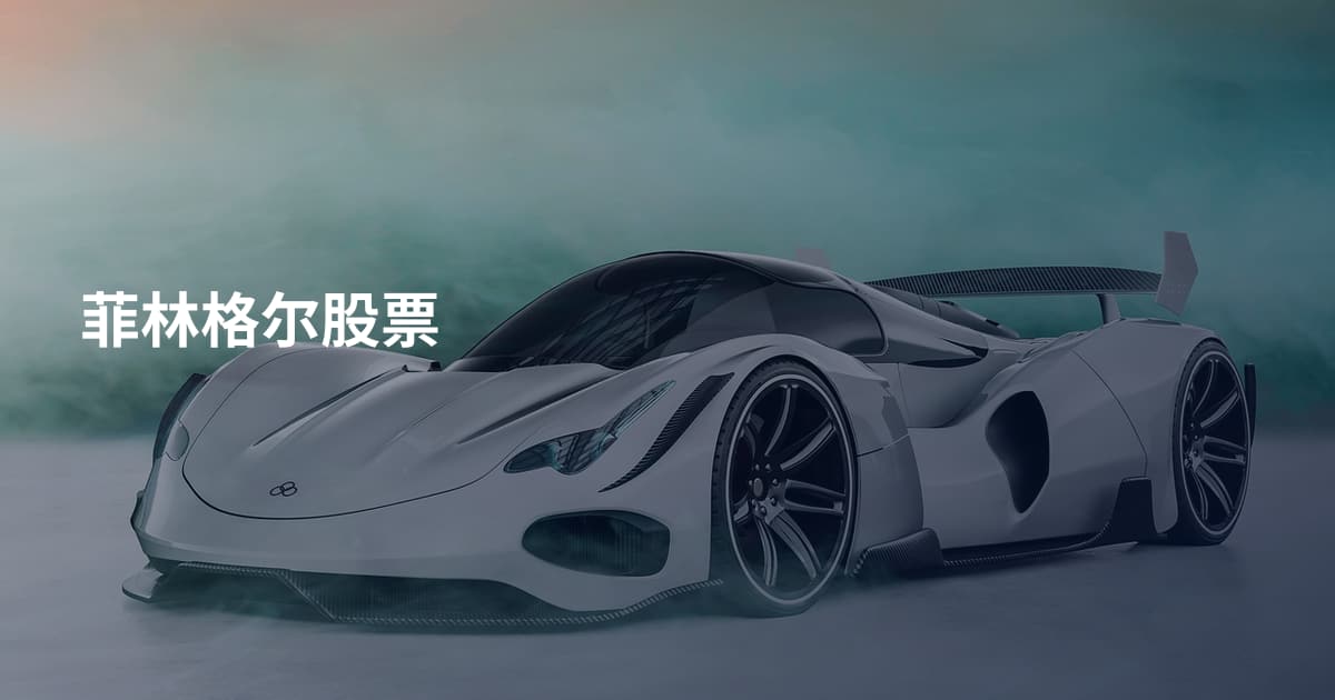 菲林格尔股票