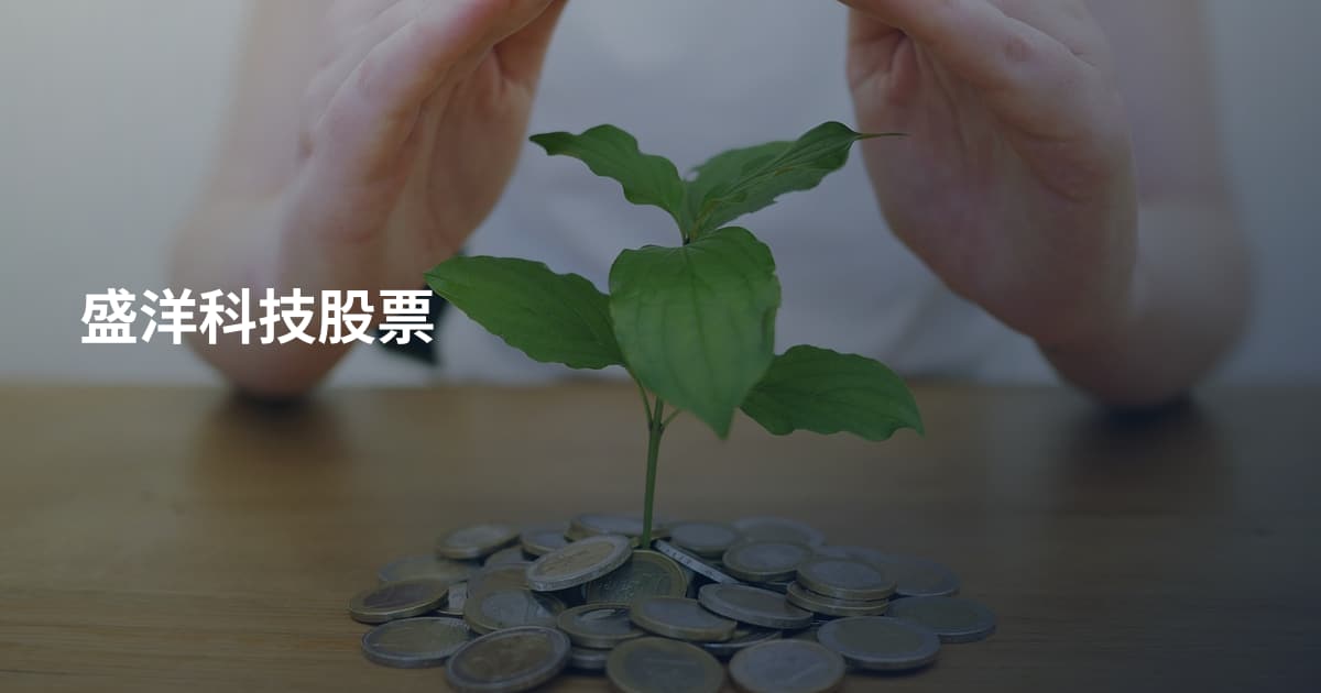 盛洋科技股票
