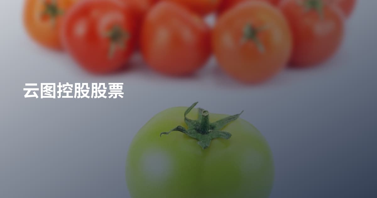 云图控股股票