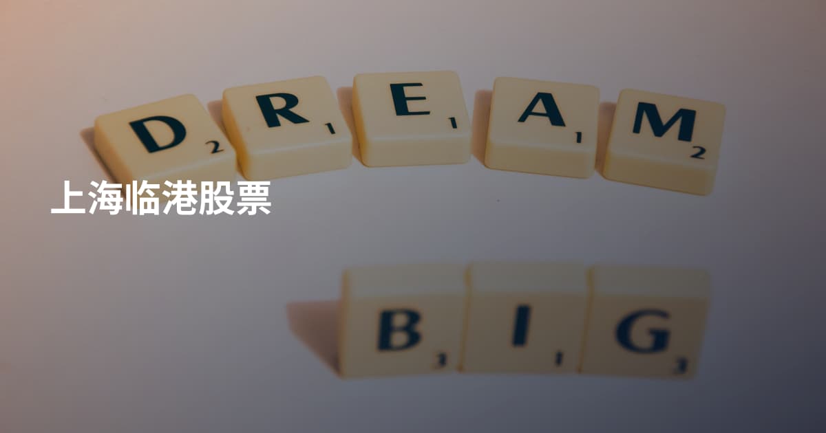 上海临港股票