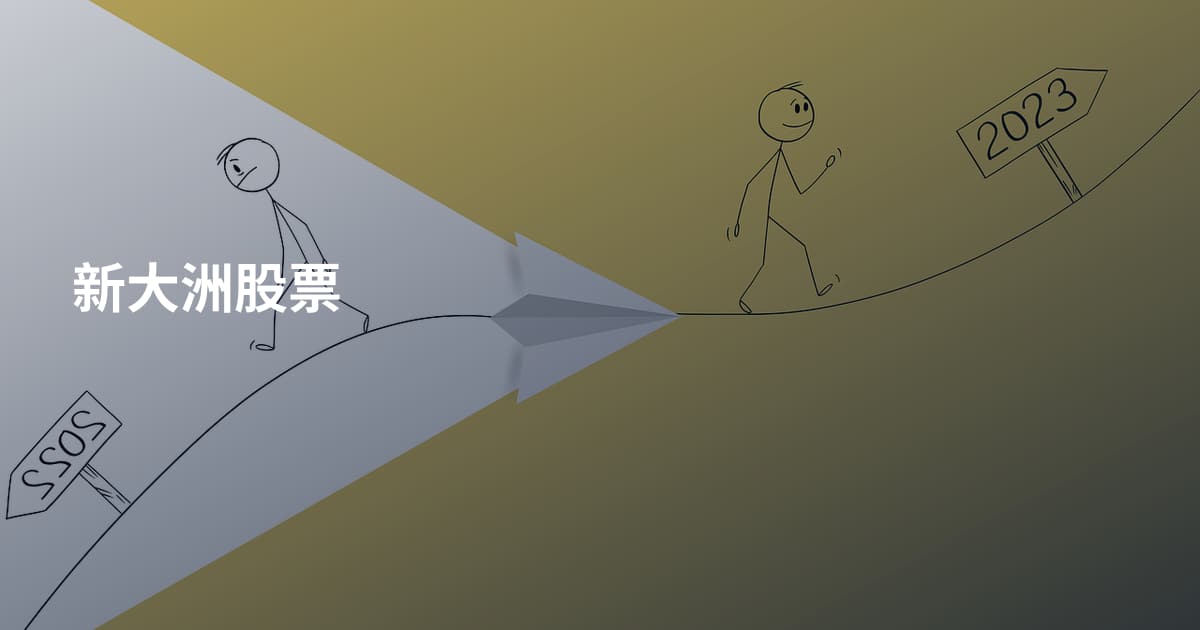新大洲股票