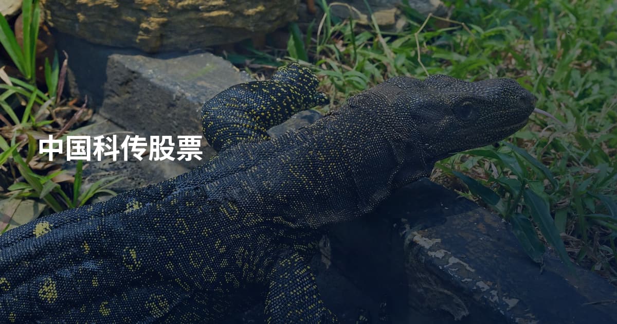 中国科传股票