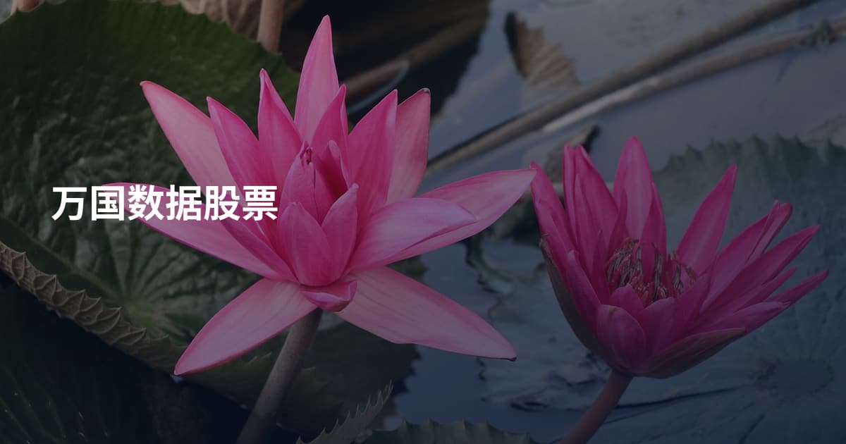 万国数据股票
