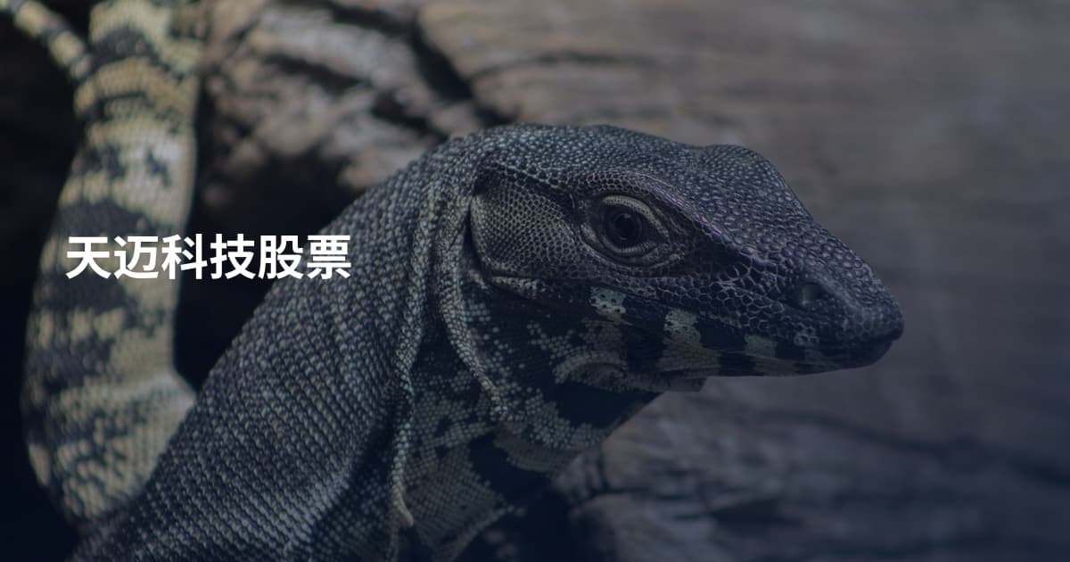 天迈科技股票