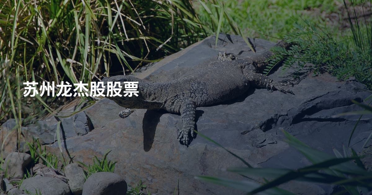 苏州龙杰股股票