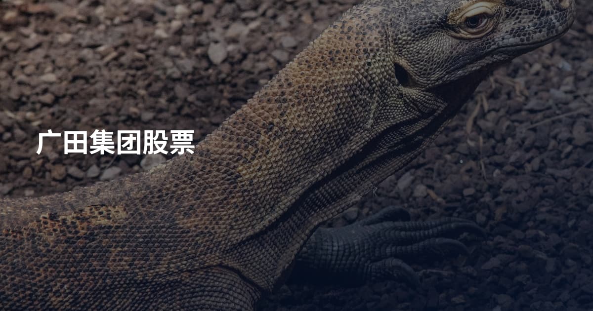 广田集团股票