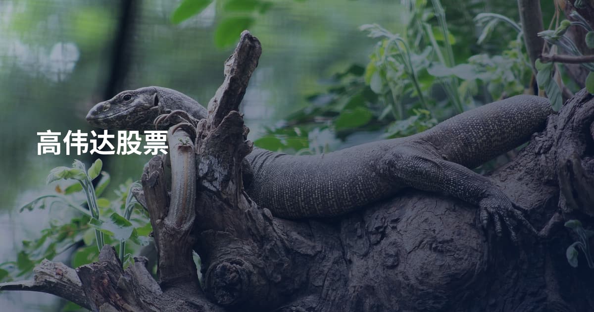 高伟达股票